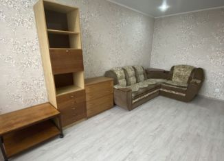 Сдается в аренду однокомнатная квартира, 33.2 м2, Ставропольский край, улица Калинина, 224