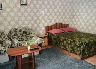 Сдача в аренду 1-комнатной квартиры, 36.5 м2, Ленинск-Кузнецкий, улица Пушкина, 12