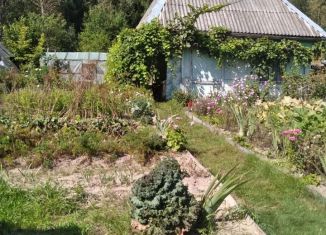 Продам дачу, 25.5 м2, Сельцо, улица Мейпариани