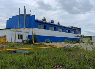 Продажа производства, 727.7 м2, Алапаевск, улица Токарей, 12