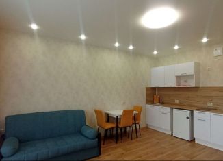 Сдается квартира студия, 30 м2, Новосибирск, метро Площадь Маркса, Часовая улица, 37/1