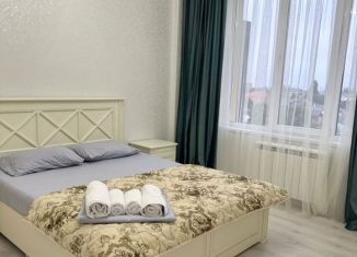 Аренда 1-ком. квартиры, 50 м2, Нальчик, улица Гоголя, 37, район Центр