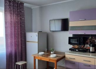 Квартира в аренду студия, 24 м2, Челябинская область, улица Заря