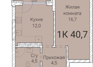 Продажа однокомнатной квартиры, 40.7 м2, Новосибирская область, Овражная улица, 2А