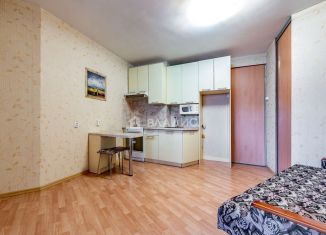 Квартира на продажу студия, 24.8 м2, Мурино, Привокзальная площадь, 5Ак5, ЖК Мечта