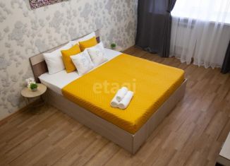 Аренда однокомнатной квартиры, 60 м2, Самара, Садовая улица, 329