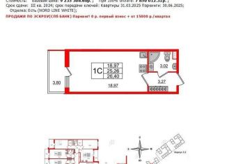 Продаю квартиру студию, 26 м2, Санкт-Петербург, Светлановский проспект, 8