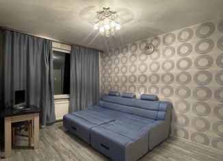 Аренда 1-ком. квартиры, 30 м2, Санкт-Петербург, Купчинская улица, 17к2, метро Звёздная