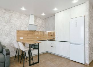 Продам квартиру студию, 32.3 м2, Новосибирская область, улица Татьяны Снежиной, 48