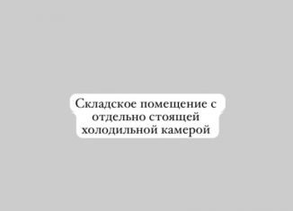 Сдам в аренду склад, 20 м2, Екатеринбург, улица Новаторов, 13, Орджоникидзевский район