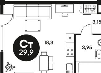 Продается квартира студия, 29.9 м2, Ростов-на-Дону, Кировский район, Красноармейская улица, 250