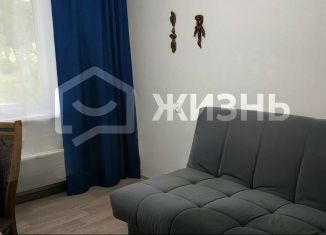 Продажа 2-комнатной квартиры, 43 м2, Екатеринбург, Хрустальная улица, 33, Хрустальная улица