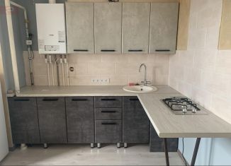 Продается 1-комнатная квартира, 40 м2, село Александровка, Первоцветная улица, 3