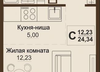 Продам 1-комнатную квартиру, 24.3 м2, Челябинская область