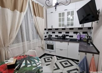 Сдаю 1-ком. квартиру, 45 м2, деревня Голубое, Родниковая улица, 5