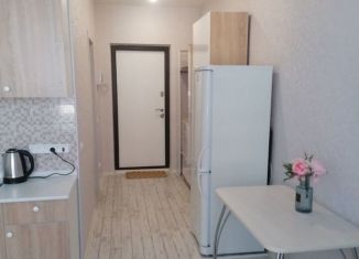 Сдаю в аренду квартиру студию, 24 м2, Ульяновск, улица Аблукова, 16