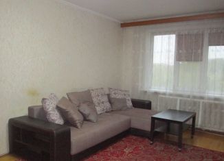 Сдаю в аренду 1-комнатную квартиру, 40 м2, Санкт-Петербург, Дальневосточный проспект, 69к3