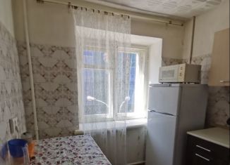 2-комнатная квартира в аренду, 45 м2, Екатеринбург, Московская улица, 49, метро Геологическая