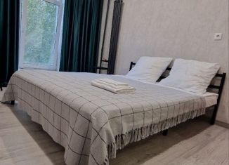 Сдается в аренду квартира студия, 22 м2, Пермский край, улица Мира, 30