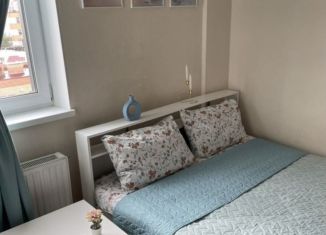 Сдается 1-ком. квартира, 49 м2, Татарстан, улица Четаева, 42А