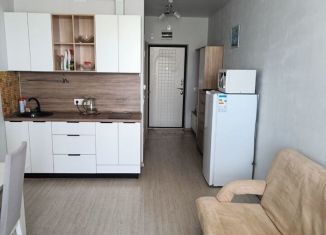 Сдам квартиру студию, 25 м2, Анапа, Супсехское шоссе, 39к17