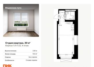 Квартира на продажу студия, 30 м2, посёлок Ильинское-Усово, Заповедная улица, 9