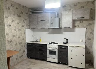 Аренда 1-комнатной квартиры, 33 м2, Красноярск, улица Молокова, 31Д, Советский район