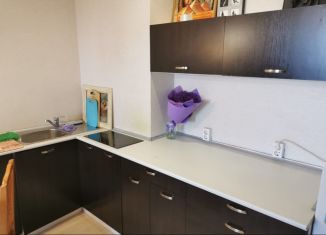 Сдается в аренду 2-ком. квартира, 40 м2, Киров, улица Мира, 10А