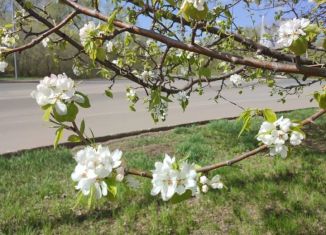 Продажа земельного участка, 10 сот., Ишимбай, Лазурная улица