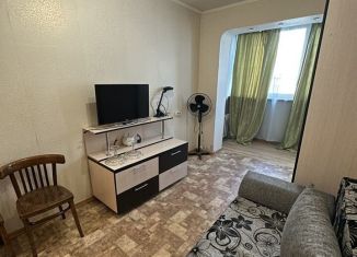 Продажа 1-комнатной квартиры, 33.4 м2, Казань, улица Галии Кайбицкой, 15, Советский район