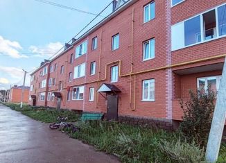 Продается 3-комнатная квартира, 55.7 м2, село Бакалы, улица Шакирьянова, 47