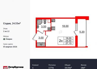 Квартира на продажу студия, 24.6 м2, Санкт-Петербург, метро Озерки