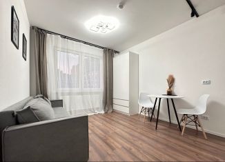 Сдаю квартиру студию, 18 м2, Санкт-Петербург, Муринская дорога, 31к1