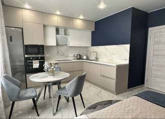 1-комнатная квартира в аренду, 55 м2, Котельники, микрорайон Южный, 16