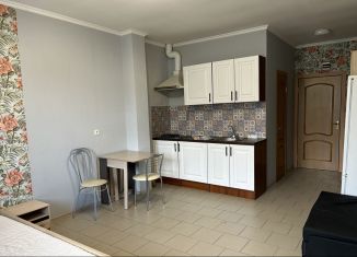 Сдаю в аренду квартиру студию, 30 м2, Химки, улица Герцена, 4Б