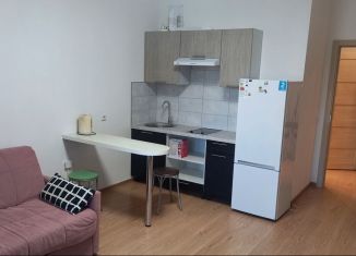 Квартира в аренду студия, 25 м2, Кудрово, Столичная улица, 6к1