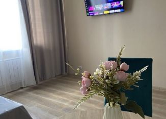 Сдам квартиру студию, 36 м2, Красноярский край, улица Петра Подзолкова, 26