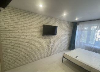 Сдается 1-комнатная квартира, 30 м2, Городец, улица Фурманова, 7