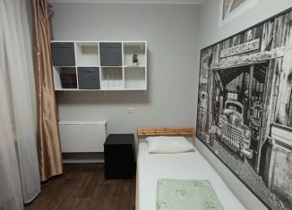 Аренда 2-комнатной квартиры, 30 м2, Санкт-Петербург, Новоизмайловский проспект, 39к2, метро Парк Победы