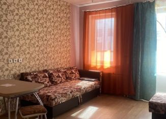 Сдается квартира студия, 30 м2, Санкт-Петербург, Парковая улица, 18к5