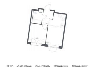 Продается 1-ком. квартира, 34.6 м2, деревня Большое Свинорье, деревня Большое Свинорье, 10/1