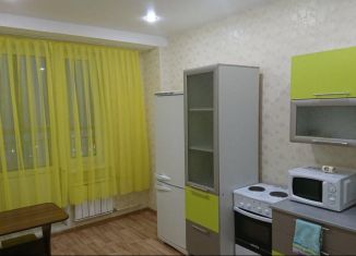 Сдаю в аренду 1-ком. квартиру, 45 м2, Красноярск, улица Шахтёров, 38