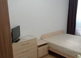 Квартира в аренду студия, 20 м2, Санкт-Петербург, Промышленная улица, 3