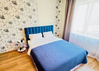 Сдается квартира студия, 45 м2, Екатеринбург, Союзная улица, 2