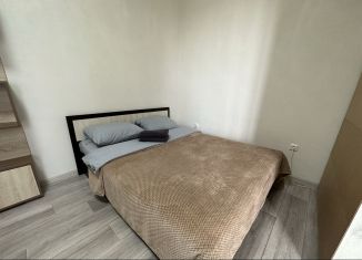 Сдается квартира студия, 35 м2, Уфа, улица Кирова, 130