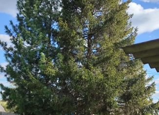 Продается дом, 40 м2, деревня Измоденова, улица Чапаева, 23