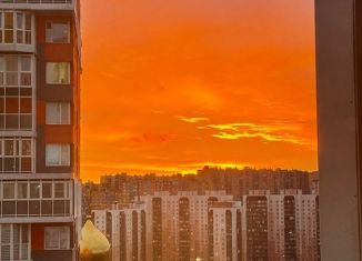 Продается однокомнатная квартира, 36.5 м2, Кудрово, Европейский проспект, 21к2, ЖК Берёзовая Роща