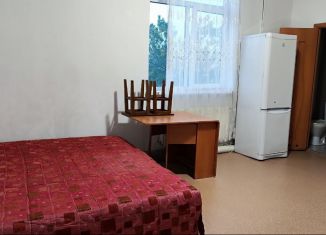 Сдам в аренду квартиру студию, 20 м2, Ставрополь, Полевая улица, 34А