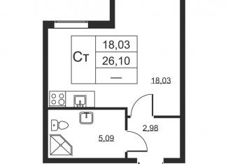 Продается квартира студия, 26.1 м2, Ленинградская область