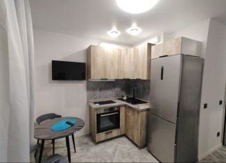 Сдаю 1-ком. квартиру, 32 м2, Ростов-на-Дону, улица Ерёменко, 110/2с1, ЖК Пятый Элемент